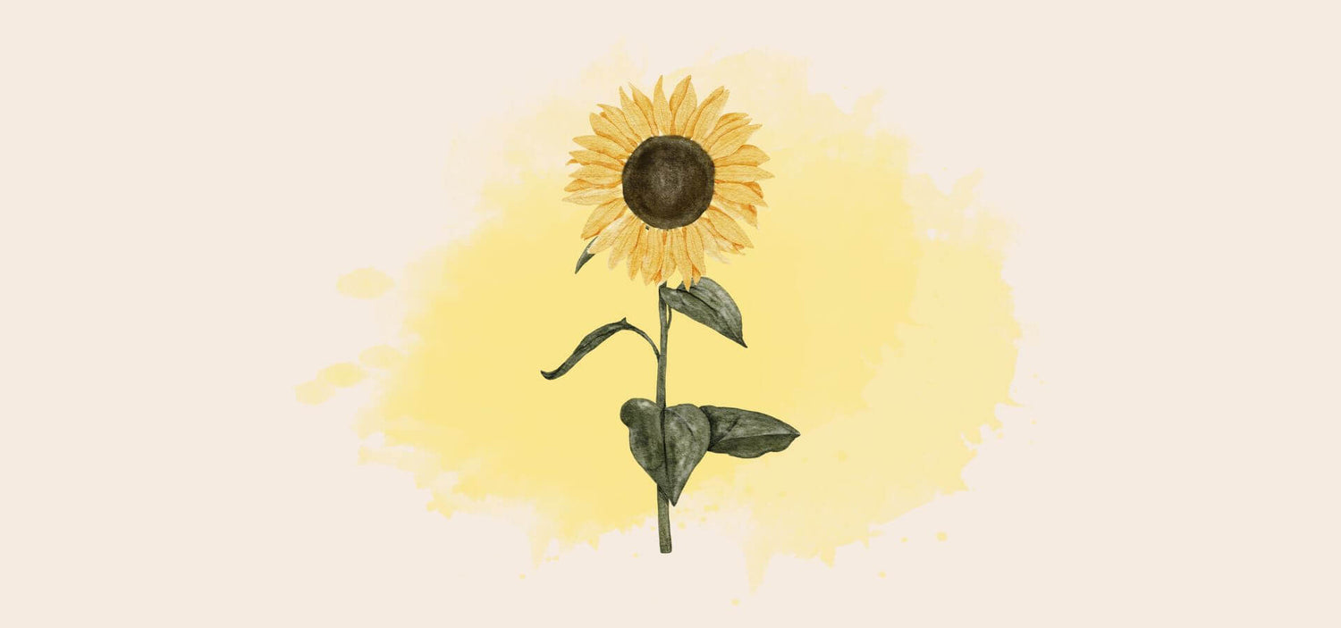 Illustriertes Bild einer Sonnenblume