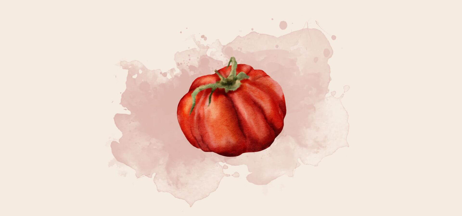 Illustriertes Bild einer roten Tomate