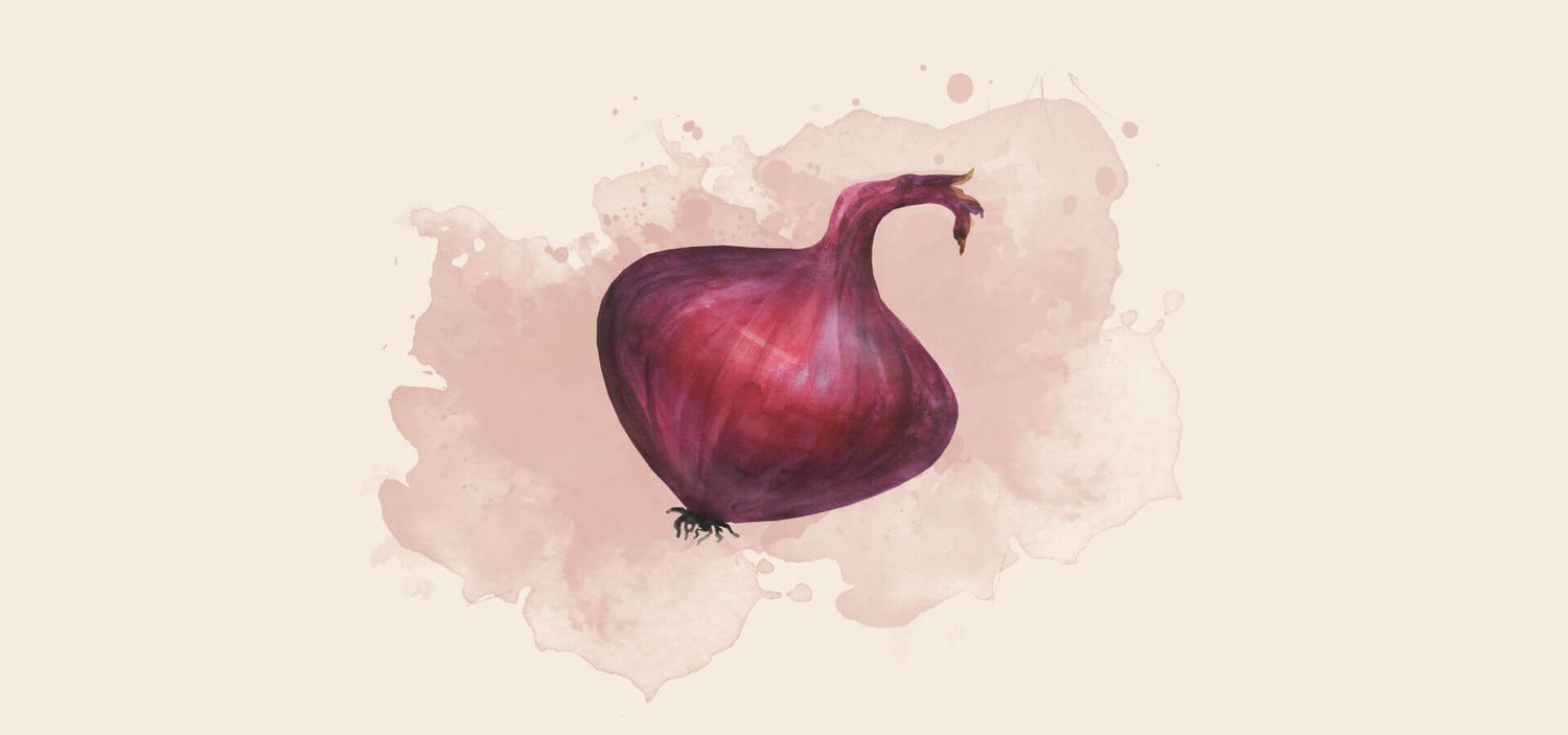 Illustriertes Bild einer flachen, rotes Zwiebel