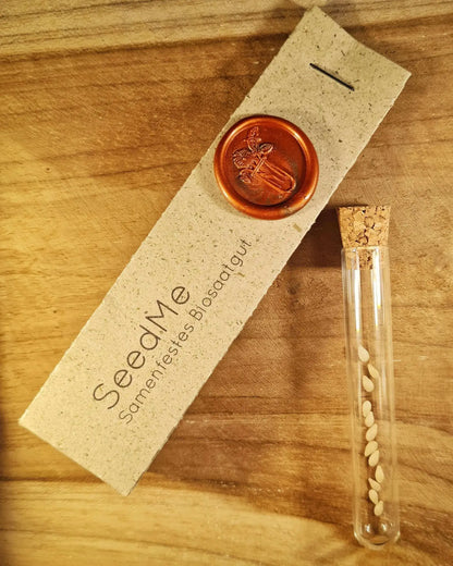 Samen für Cocktailgurke im Reganzglas mit Graspapierverpackung von SeedMe