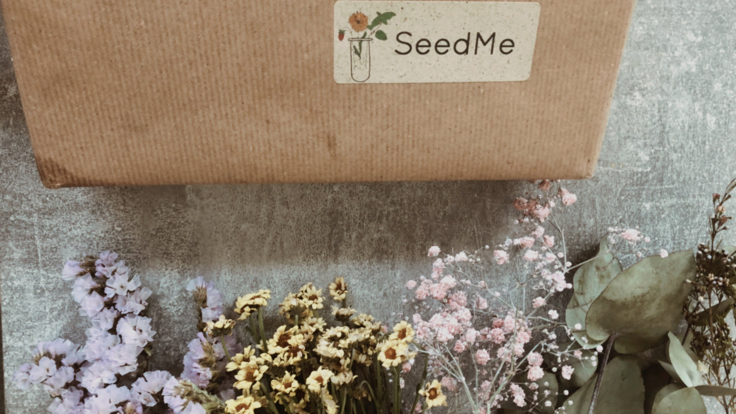 Pflanzset von SeedMe, verpackt in nachhaltiges Packpapier mit einem Graspapiersticker, auf dem das Logo abgebildet ist