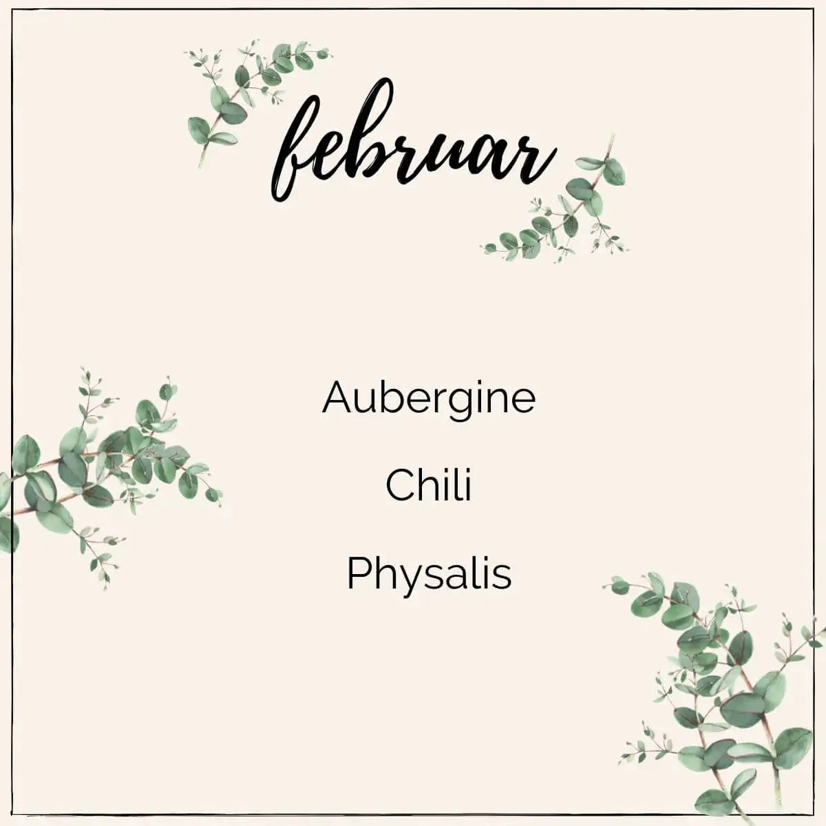 Saatgutsorten für das Vorziehen ab Februar: Aubergine, Chili, Physalis
